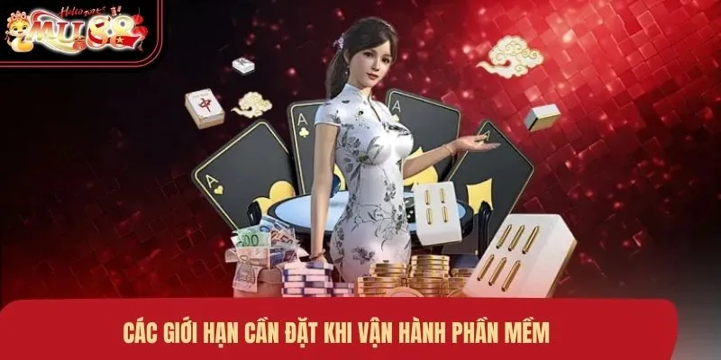 Các giới hạn cần đặt khi vận hành phần mềm