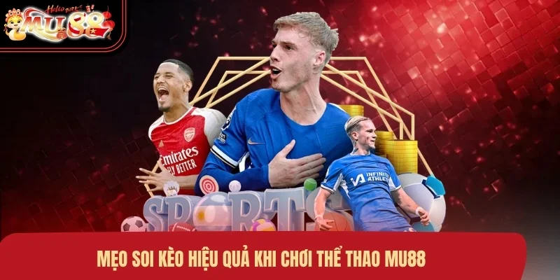 Mẹo soi kèo hiệu quả khi chơi thể thao MU88