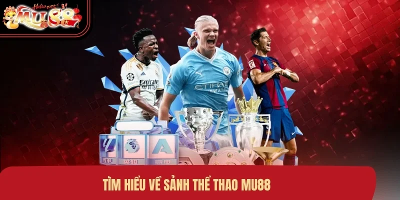 Tìm hiểu về sảnh thể thao MU88
