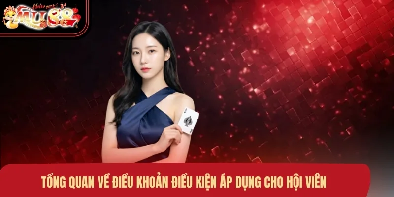 Tổng quan về điều khoản điều kiện áp dụng cho hội viên